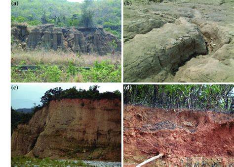 2 Accelerated Soil Erosion By Human Activities On A Slope Land B