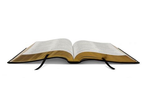 Esv Bible With Creeds And Confessions Trutone Black Westminster