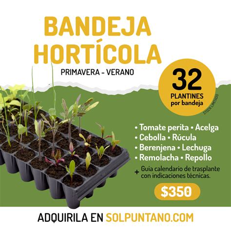 Sol Puntano Comienza La Venta De Bandejas Hort Colas Primavera Verano