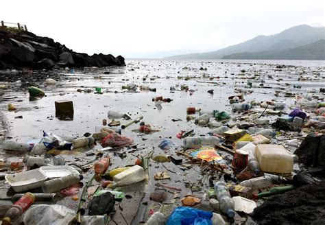 Waspada Sampah Plastik Mengancam Ekosistem Laut Ternate