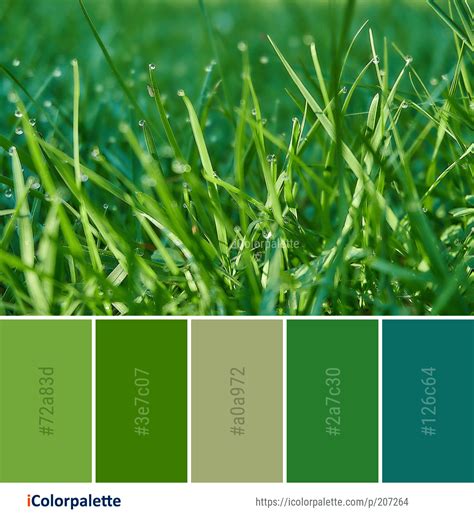 Grass Green Color Palette Inga Bermudez