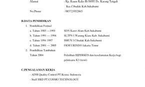 Top Contoh Daftar Riwayat Hidup Simple 16 Dalam Inspirasi Format