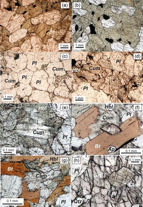 Thin Section Photomicrographs Of A B Poikilitic Amphibole Enclosing