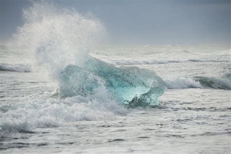 Frammenti Glaciali Dell Iceberg Che Galleggiano In Acque Artiche