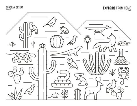 Biomes Sonoran Desert Coloring Page Coloring Pages Biomes Activities