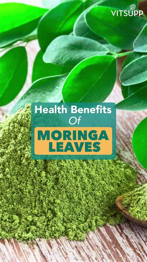 Unlocking The Incredible Power Of Moringa Nature S Ultimate Medicinal