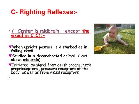 Optical Righting Reflex Infants