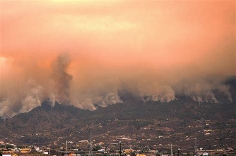 Thousands Evacuated Amid Spains Out Of Control Tenerife Wildfire