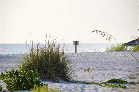 Seaside Beach With Small Sand Dunes And Grassy Vegetation On Warm