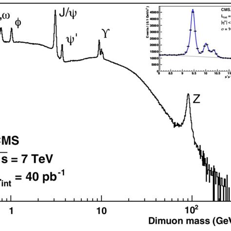 Invariant Mass Spectrum Of Dimuons In Events Collected With The Loose