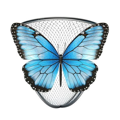 3d Render Butterfly Net 3d Rendering Equipment For Catching Butterfly