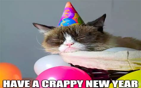 Best Grumpy Cat New Years Meme 2024 - QuotesProject.Com