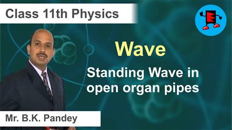 CBSE Class 11 Physics Waves Standing Wave In Open Organ Pipes