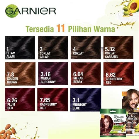 Warna Cat Rambut Garnier Sachet Homecare24