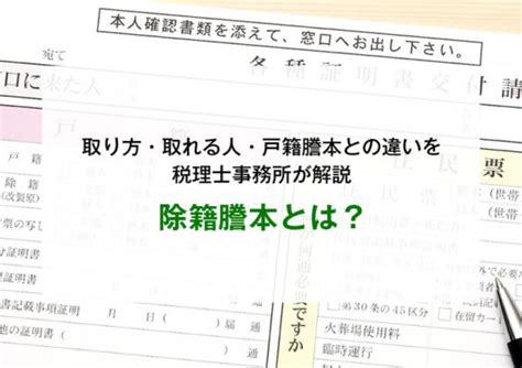 除籍謄本とは？取り方・取れる人・戸籍謄本との違いを税理士事務所が解説