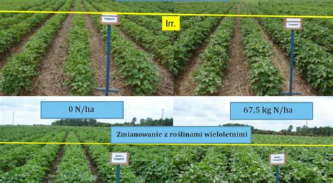 Rolnictwo regeneratywne na świecie Floryda