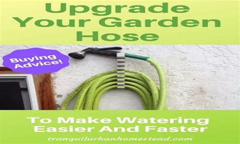 How To Keep Garden Hose Tidy 7 Easy Tips For Organization