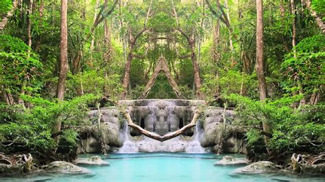 8 Hours Of Nature Sounds Relaxing Rainforest Waterfall Landscape