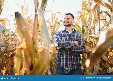 Agronomist Checking Corn If Ready For Harvest Portrait Of Farmer