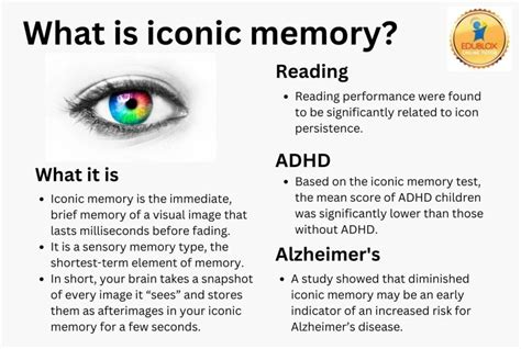 What Is Iconic Memory Edublox Online Tutor