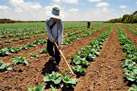 Destinarán recursos al impulso de actividades agrícolas Consorcio