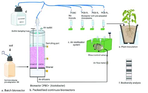 Experimental Setup A Batch Bioreactor BB Was Fed With