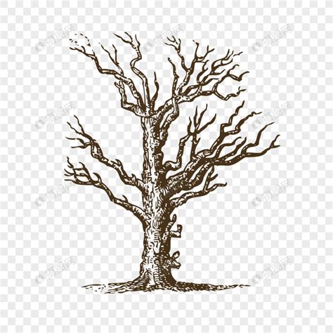 Lukis Gambar Pokok Yeoreobun Web