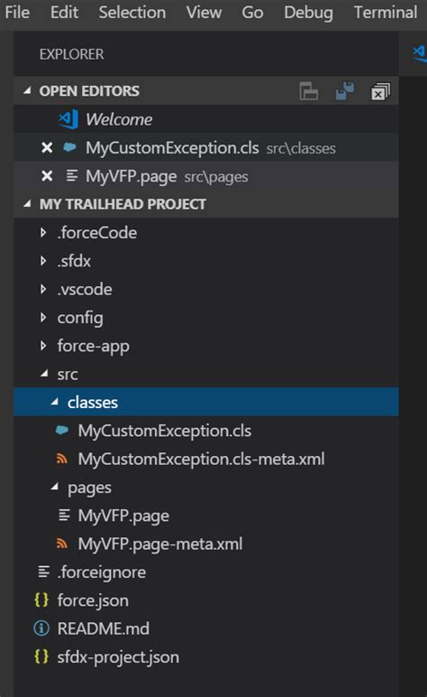 Unidad Primeros Pasos Con Visual Studio Code Salesforce