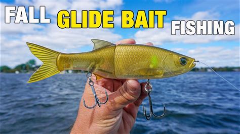 How To Fish A Glide Bait Beginner Catching Big Bass Youtube