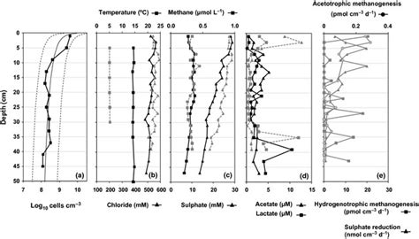 Depth Profiles Of Prokaryotic Cell Numbers Geochemical Data And