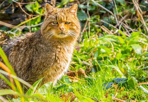 Teutoburg Forest – Where Man and Nature Coexist