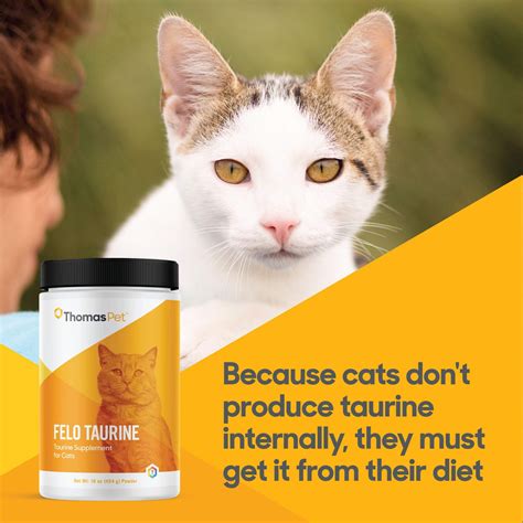 taurine cats diet 8