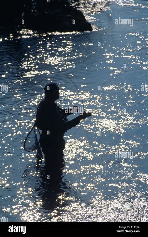 river fisherman fishing in an irish river Stock Photo - Alamy