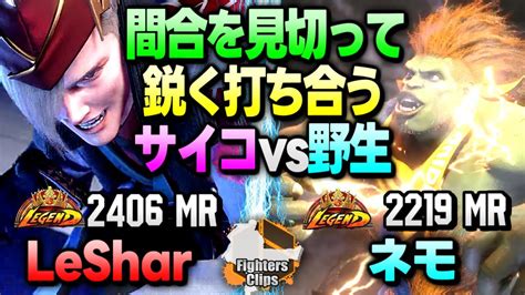 【leshar Vs ネモ】見逃さねぇ！間合いを見切って鋭く打ち合うサイコvs野生の攻防｜ Leshar エド Vs ネモ ブランカ