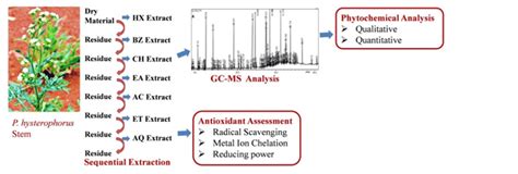 Phytochemical Screening Gc Ms Analysis And In Vitro Antioxidant