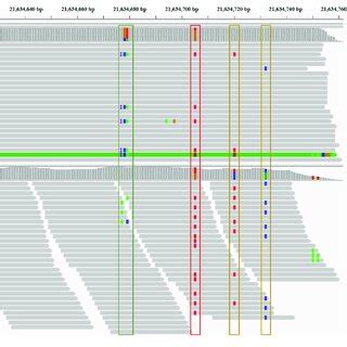 | The detailed comparison of genetic variants detected by the ...