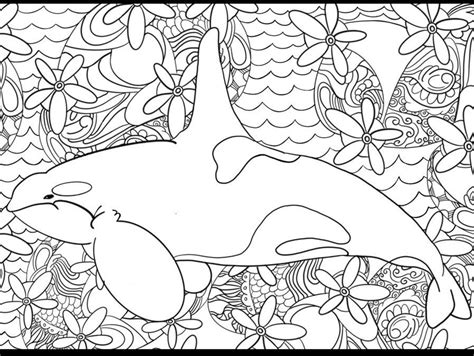 Orca Beauty Coloring Page Etsy