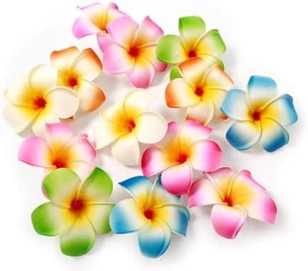 Amazon Hustar 10 Pcs 5CM Artificial Hawaiian Plumeria Flower Hair