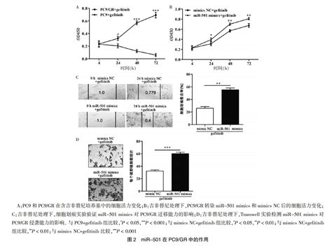 Mir 501靶向blid介导吉非替尼耐药性非小细胞肺癌的恶性表型 参考网