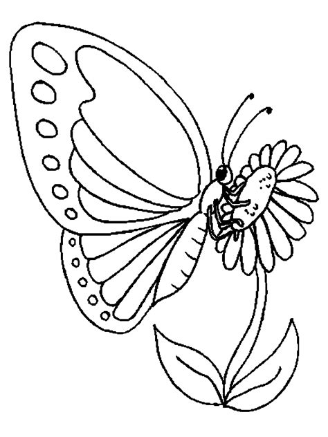 Dibujos De Mariposas Para Colorear E Imprimir Dibujos Para Colorear