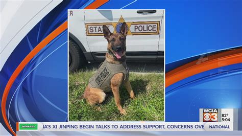 Illinois State Police K9 Receives New Body Armor