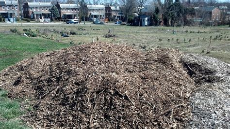 Peabody Street Observer: Mulch pile turning heads