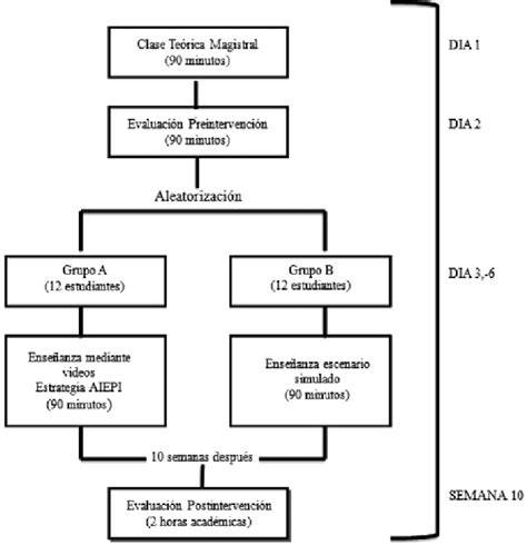 Figura Diagrama De Flujo De Actividades Download Scientific Diagram