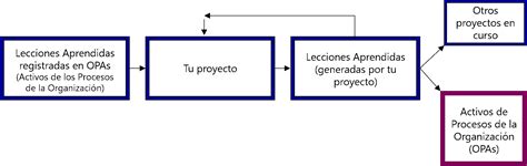 Ciclo De Vida De Las Lecciones Aprendidas En Proyectos Netmind Hot