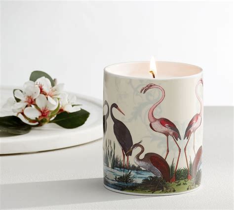 Conservatory Print Scented Candle Collection | Pottery Barn