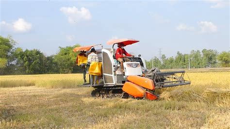 Best Rice Harvester Machine Skills Fast Working Kubota DC 70 Plus