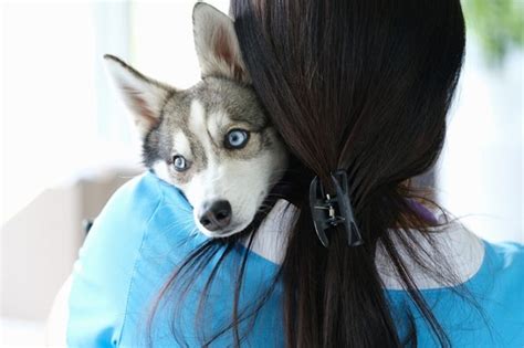 Une famille achète un nouveau chiot Lors de sa première visite