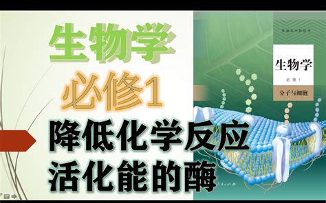 【生物必修1】第5章第1节降低化学反应活化能的酶【1课时】人教版统编教材高中生物学2019新课改新课标新高考理综分子与细胞哔哩哔哩bilibili