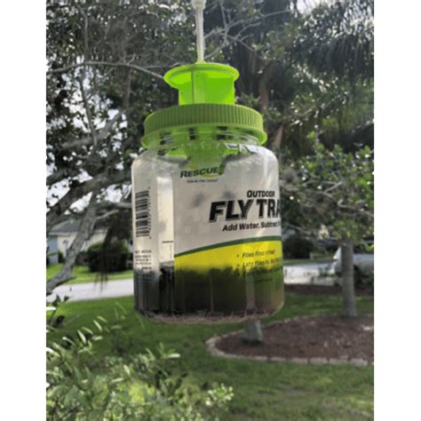 Quest For Best Fly Trap What Is The Most Effective Fly Trap