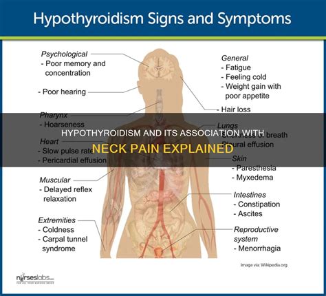 Hypothyroidism And Its Association With Neck Pain Explained | MedShun